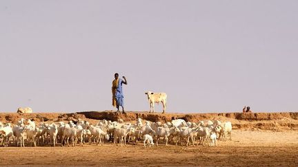 Berger peul sur les bords du fleuve Niger (AFP - CLAUDE THOUVENIN / BIOSPHOTO)