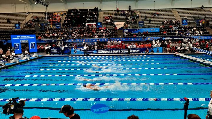 Les finales universitaires de natation aux Etats-Unis ont débuté mercredi 27 mars, à indianapolis. (JEROME VAL / FRANCEINFO)