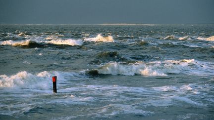 Mer agit&eacute;e pr&egrave;s de l'&icirc;le de Texel, aux Pays-Bas. (FLIP DE NOOYER / MINDEN PICTURES / AFP)