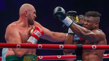 Tyson Fury (à gauche) a été mis en difficulté par Francis Ngannou. (FAYEZ NURELDINE / AFP)