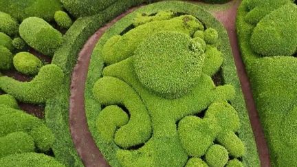 Dordogne : les buis des jardins de Marqueyssac, 150 ans