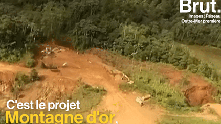 Mine d'or en Guyanne : WWF craint la catastrophe écologique