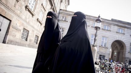 Un groupe d'experts de l'ONU a "condamné"&nbsp;le 23 octobre 2018 la France pour avoir verbalisé deux femmes qui portaient le&nbsp;niqab. (MADS CLAUS RASMUSSEN / RITZAU SCANPIX / AFP)