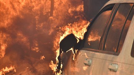 Devant une habitation dévastée par l'incendie "Creek", cette voiture également calcinée, le 5 décembre 2017. (GENE BLEVINS / REUTERS)