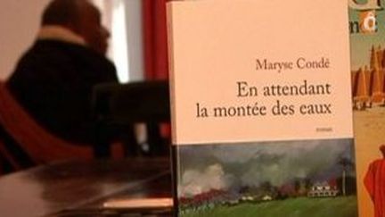 Maryse Condé publie &quot;En attendant la montée des eaux&quot;
 (Culturebox)