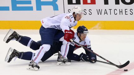 Antoine Roussel à la lutte avec le Slovaque Richard Panik (TATYANA ZENKOVICH / MAXPPP)