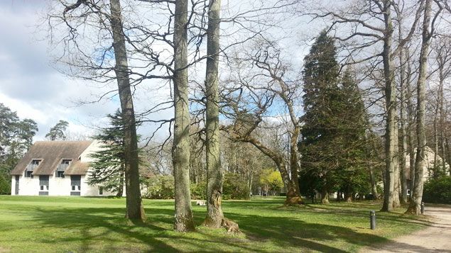 &nbsp; (Le centre de Clairefontaine est situé dans le bois de Rambouillet © Radio France / Sébastien Hazard)