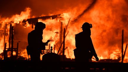 Des pompiers se battent contre les incendies dans&nbsp;la région de Napa en Californie&nbsp;(Etats-unis), le 9 octobre 2017 (JOSH EDELSON / AFP)