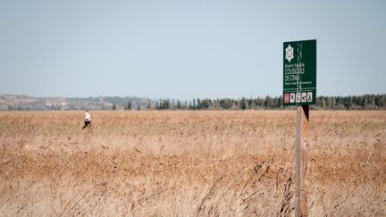 La réserve naturelle nationale des Coussouls de Crau a été créée pour entretenir la richesse d'un écosystême unique en France. (PIERRE ROBERT / MAXPPP)