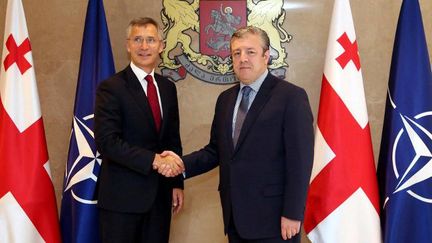 Le secrétaire général de l'OTAN, Jens Stoltenberg (G), et le Premier ministre de Géorgie, Giorgi Kvirikashvili, à Tbilissi, le 7 septembre 2016. (Agence ANADOLU /AFP)