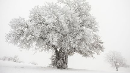 Premi&egrave;re neige dans le Vaucluse, le 21 novembre 2013. (STEPHANE CANDE / SIPA)