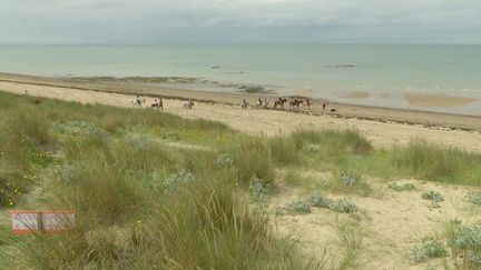 Manche : une association sensibilise à l'érosion de la dune de Gouville-sur-Mer