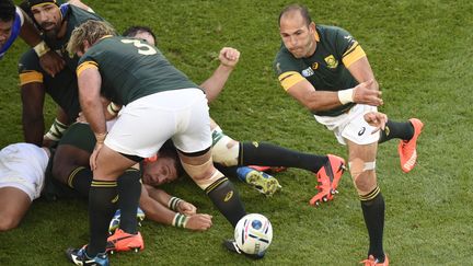 Fourie du Preez sera capitaine pour la première fois face à l'Ecosse (MARTIN BUREAU / AFP)