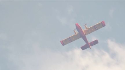 Incendies dans les Pyrénées-Orientales : le combat contre les flammes se poursuit (France 3)