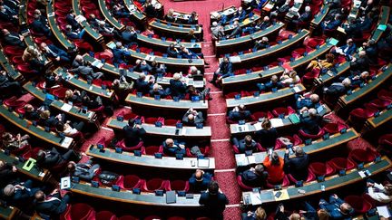 Les sénateurs siègent à Paris, le 10 novembre 2021. (XOSE BOUZAS / HANS LUCAS / AFP)