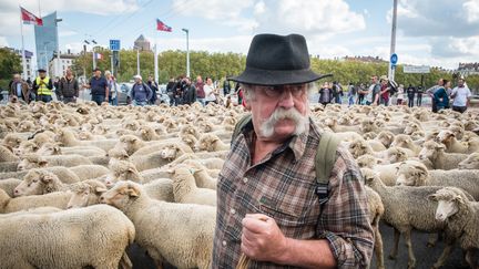 Les éleveurs manifestent contre plan loup à Lyon