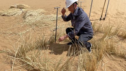 Un ouvrier chinois installe des carrés de paille dans le désert de Tengri (province du Ningxia) pour entraver la progression du sable - Juin 2023 (SEBASTIEN BERRIOT / RADIO FRANCE)