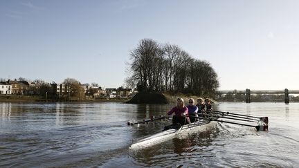 Un entraînement d'aviron à quatre sur la Tamise, à l'ouest de Londres; le 28 janvier 2016. (ADRIAN DENNIS / AFP)