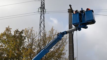 Des agents d'Enedis interviennent sur une ligne électrique endommagée par la tempête Caetano à Muilleron-le-Captif (Vendée), le 21 novembre 2024. (ESTELLE RUIZ / HANS LUCAS / AFP)