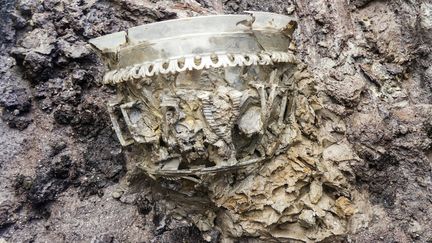 Un vase en verre de l'époque romaine tardive découvert dans une nécropole à Autun (Saône-et-Loire) (INRAP / AFP)