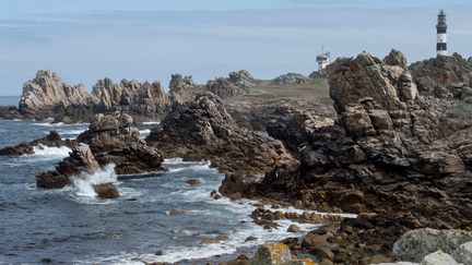 Bretagne : l'île d'Ouessant cherche un éleveur laitier biologique