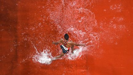 Natation petit bassin ? Non, le 3000 mètres steeple ! (BEN STANSALL / AFP)