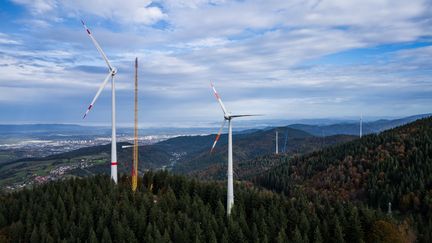 Un par éolien dans la région de Fribourg en Allemagne, le 17 octobre 2024. (PHILIPP VON DITFURTH / DPA)