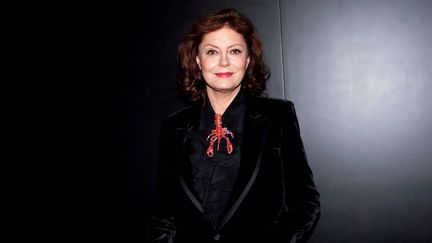 Susan Sarandon sur Hollywood