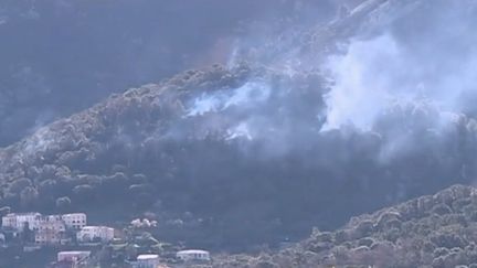 Incendies en Corse : plus de 1 200 hectares partis en fumée