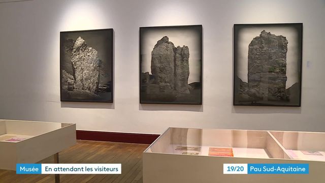 Musée des Beaux-Arts de Pau : en attendant les visiteurs