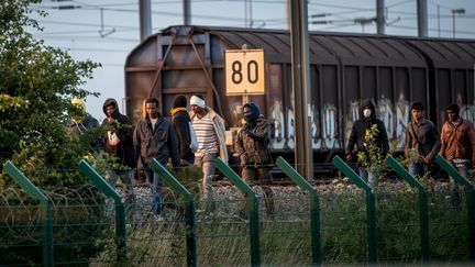 A Calais, au coeur de la "nouvelle jungle"