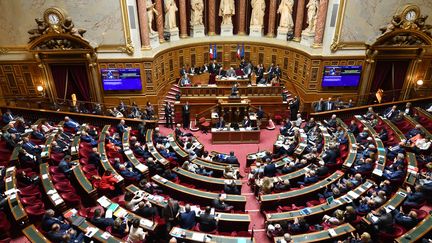 Le&nbsp;projet de loi énergie et climat a été adopté par le Sénat en première lecture à 227 voix pour et 16 contre, dans la nuit de jeudi à vendredi 19 juillet 2019.&nbsp; (DANIEL PIER / NURPHOTO / AFP)