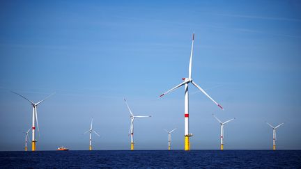 Les éoliennes du parc offshore de Saint-Nazaire, le 22 septembre 2022. (STEPHANE MAHE / POOL / AFP)