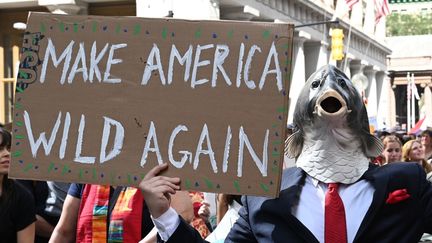 "Make America Wild Again" (rendre l'Amérique à la nature sauvage, parodie du slogan de Donald Trump) peut-on lire à New York le 20septembre (TIMOTHY A. CLARY / AFP)