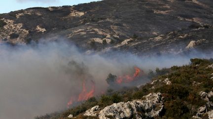 Un incendie a parcouru 130 hectares début février 2023 entre Mouries er Aureille dans les Alpilles. (FARINE VAL?RIE / MAXPPP)