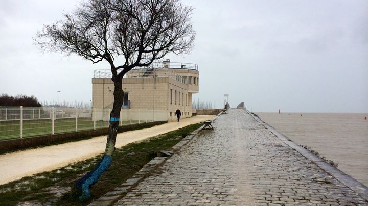 La municipalit&eacute; de La Rochelle&nbsp;(Charente-Maritime) a peint en bleu les arbres, souvenir de la mont&eacute;e d'eau lors de la temp&ecirc;te Xynthia de 2006. (CAROLE BELINGARD / FRANCETV INFO )