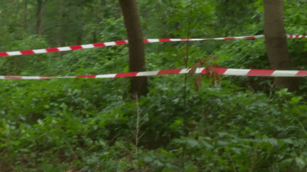 Le corps d’une étudiante de 19 ans a été retrouvé dans le bois de Boulogne, samedi 21 septembre. L'enquête a été confiée à la brigade criminelle.