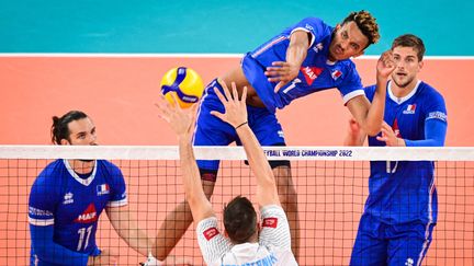 Le volleyeur français Barthélémy&nbsp;Chinenyeze lors d'un match contre la Slovénie lors des Mondiaux, à Ljubljana (Slovénie), le 28 août 2022. (JURE MAKOVEC / AFP)