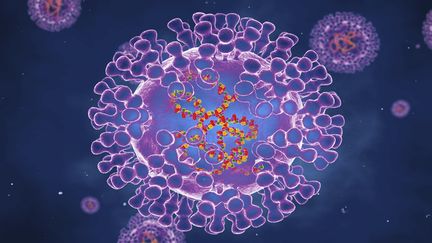Illustration du virus de la variole.&nbsp; (ROGER HARRIS / SCIENCE PHOTO LIBRA / SCIENCE PHOTO LIBRARY RF / GETTY IMAGES)