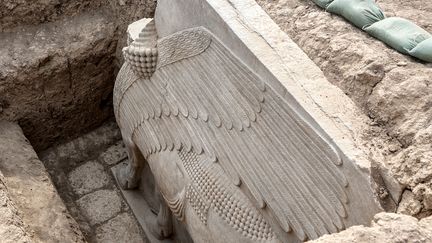 Le dernier lamassu ou taureau ailé androcéphale de Khorsabad, retrouvé en Irak le 24 octobre 2023. (ZAID AL-OBEIDI / AFP)