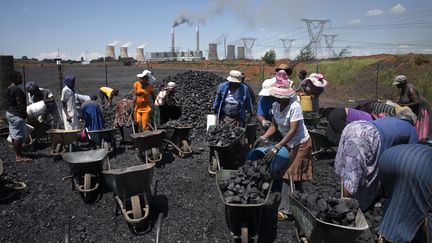 En Afrique du sud, des femmes ramassent du charbon, non loin de la centrale électrique de Duvha, appartenant à la société nationale d'électricité Eskom. Photo prise le 5 février 2015 à Emalahleni.&nbsp; &nbsp; (MARCO LONGARI / AFP)