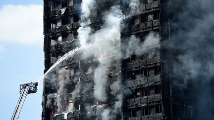 Les pompiers éteignent l'incendie de la tour Grenfell, à Londres, le 14 juin 2017. (KATE GREEN / ANADOLU AGENCY / AFP)