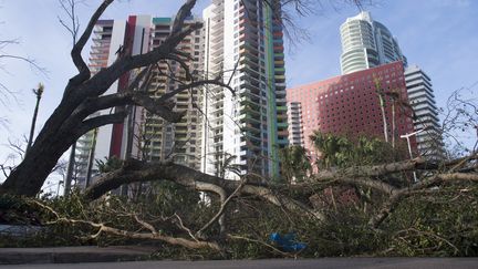 Dans les rues de Miami (Floride) après le passage d'Irma, le 11 septembre 2017. (SAUL LOEB / AFP)