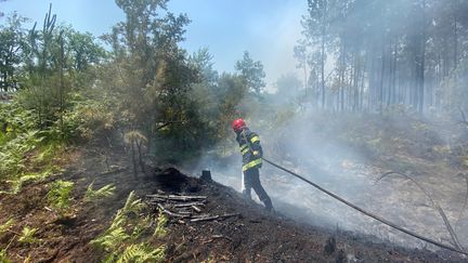 À Landiras, les pompiers ont lutté toute la journée pour éteindre des reprises de feu et de gros foyers ravivés par la chaleur et le vent tournant, le 17 juillet 2022. (ROMANE BRISARD / RADIO FRANCE)