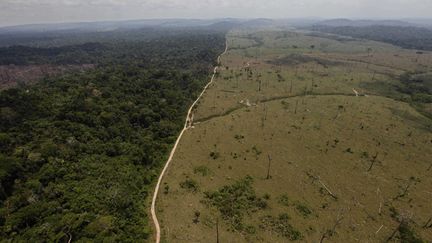 &nbsp; (La disparition des forêts, comme ici constatée en 2009 au Brésil, a ralenti nettement ces 25 dernières années © SIPA/AP/Andre Penner)