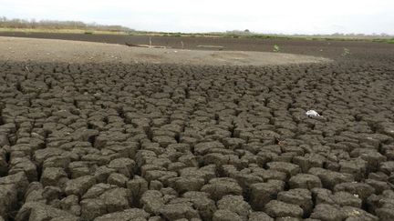 La ville de Macaubas, dans l'est du Br&eacute;sil, frapp&eacute;e par la s&eacute;cheresse le 7 novembre 2012. (ALECIO BRANDAO / AFP)