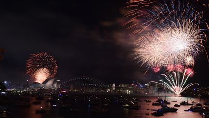 Les feux d'artifices de la Saint-Sylvestre à Sydney (Australie), le 31 décembre 2015. (SAEED KHAN / AFP)