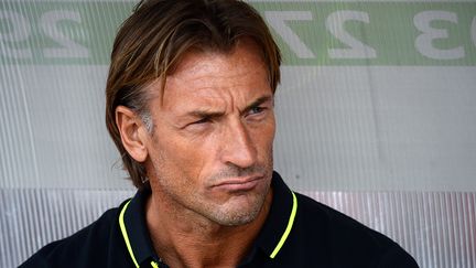 Hervé Renard (DENIS CHARLET / AFP)