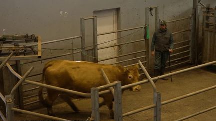 Corrèze : immersion dans le quotidien d'habitants qui font vivre les traditions (France 2)