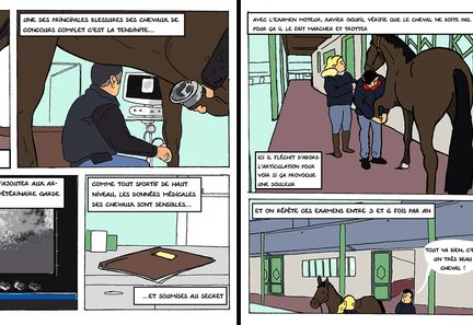 Bande dessinée : dans le cabinet du vétérinaire de l'équipe de France (Pierre Lecornu)